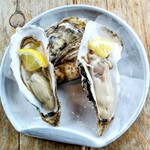 光る海 - 生牡蠣 中サイズ