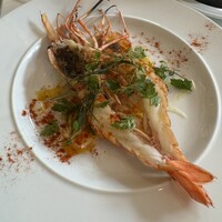 カーザ ヴィニタリア - 