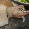 活魚料理 いか清