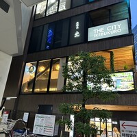 HIKARI - 