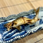 美加登家 - 念願の塩焼きに、ご対面ー♪
      頭から「がぶり」。
      「むほー！」と声の上がる香り高さ。皮はパリ、身はふわりです♪
      一尾目はそのままいただきます。