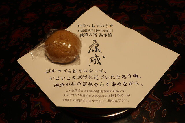 湯ヶ島温泉 湯本館