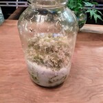 Seminare 카루이사와 - 보기에도 좋은 곁들임 양념