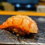 鮨 海宇 - しま海老