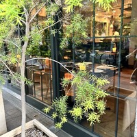 ラ・ボンヌターブル - 