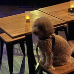 バーリプレイ - 