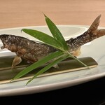 山玄茶 - 小鮎拡大