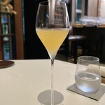 レストラン ナズ - エルダーフラワー 文旦