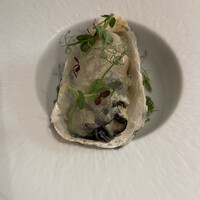 キノシタ - 牡蠣のジュレ