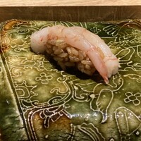 鮨 豊 - とろっと甘海老