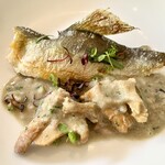 カーザ ヴィニタリア - 