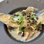 カーザ ヴィニタリア - 