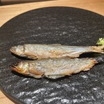 鮨 稲荷 たけ屋 - 稚鮎