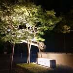 料亭 大宮 一の家 - 