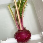 八紘学園 農産物直売所 - 【2023年10月】もものすけ。