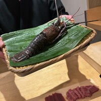 鮨楽座 八の樹 - 