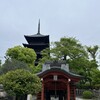 御菓子司 東寺餅