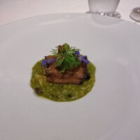 macua - 