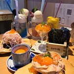 すし酒場 スシノトリコ - 