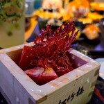 すし酒場 スシノトリコ - 