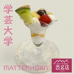 MATTERHORN - 