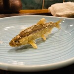 てんぷら 士才 - 