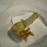 ドンナセルバティカ - 