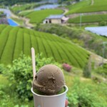 ダンダンカフェ - ほうじ茶と濃い抹茶のジェラート♡