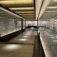 ジャヌ メルカート - 