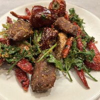 CINA New Modern Chinese - 
