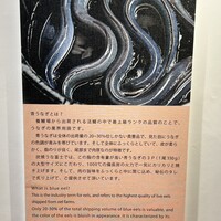 炭焼うな富士 大丸京都別邸 - 