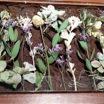 ラチュレ - 飾り皿