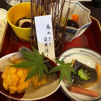 山茶花 - 