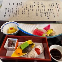 山茶花 - 