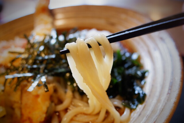 Mendokoro Ippachi photo 5