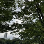 スターバックスコーヒー - 