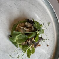 Braceria Buffa - イカとホタテ