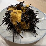 うを徳 - 北海道函館の殻付き生雲丹