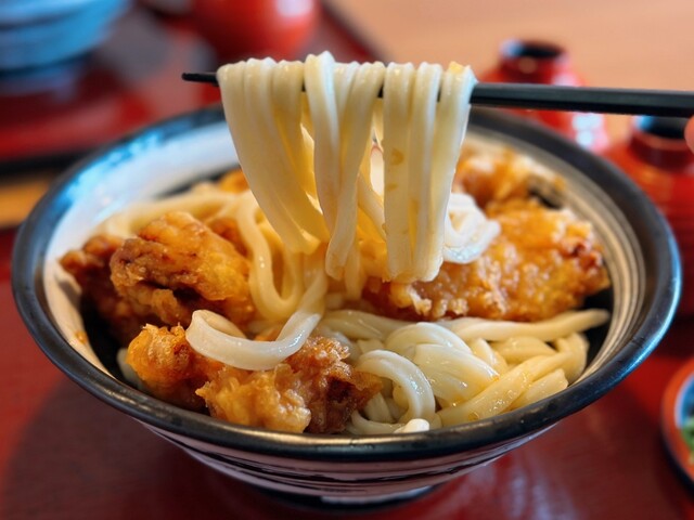 Kineya Hiroshima Ujina Ion Ten photo 3