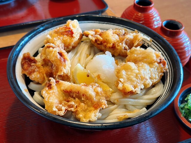 Kineya Hiroshima Ujina Ion Ten photo 2