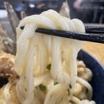 Sanshuu Teuchi Udon Garyuu - 