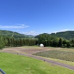 フラノ寶亭留 - 庭全景(夏にはラベンダーがいっぱい)