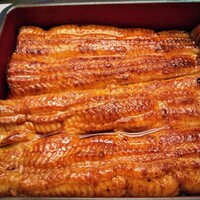 入谷鬼子母神門前のだや - 共水うなぎ 入谷鬼子母神門前のだや - 共水うなぎ