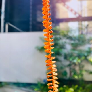 口コミ一覧 : LONG!LONGER!!LONGEST!!! キャナルシティ博多店 口コミ一覧 : LONG!LONGER!!LONGEST!!! キャナルシティ博多店
