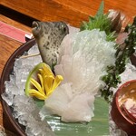 湘南ゆるり。 みなとみらい店 - カワハギ刺し