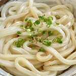 手打うどん ちえ福 - 追い醤油して薬味を加えて、ここでちょっと味変です