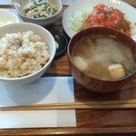 カフェ食堂 ナカムラ - 