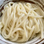 手打うどん ちえ福 - 醤油を振る前の中盛の麺。中太で艶がいい。