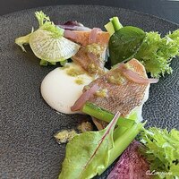 DADA - メバルのエチュベ 新玉葱のスービーズソース