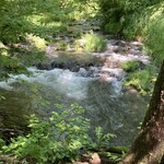 ハーベスト ナガイファーム - 湯川の清流